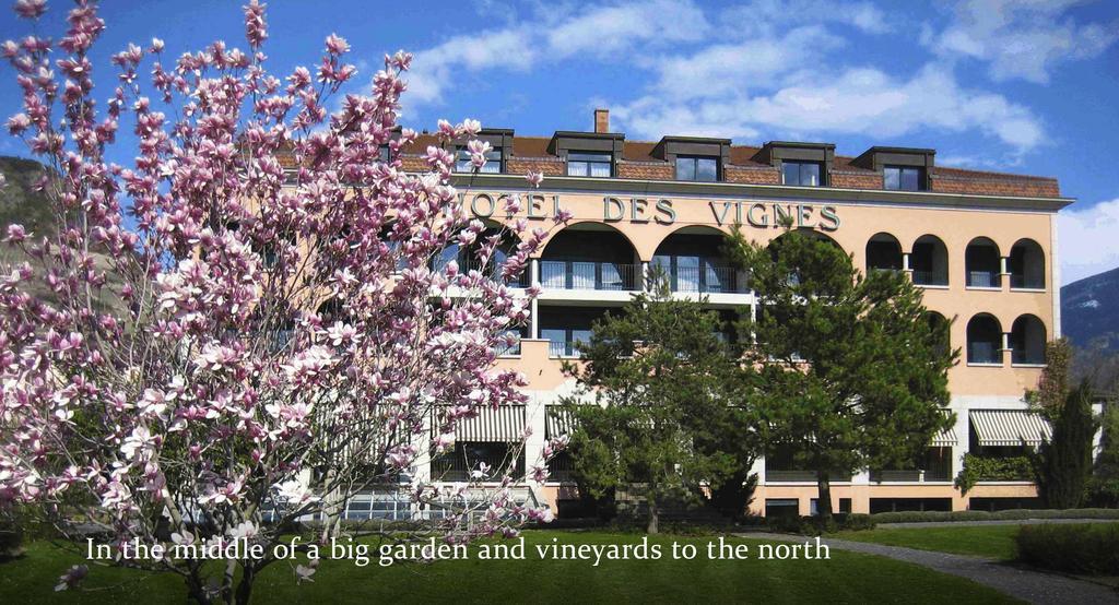 Hotel Des Vignes Saint-Léonard Exteriör bild